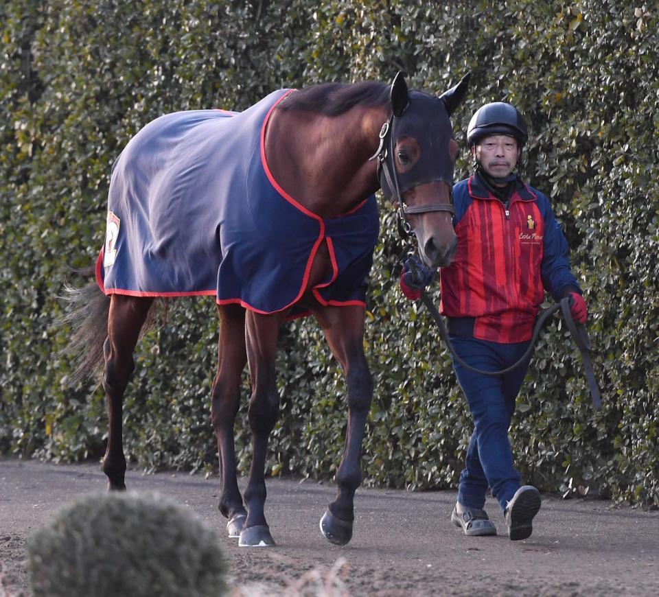 　連覇へ向けてトーンが上がってきたコスタノヴァ