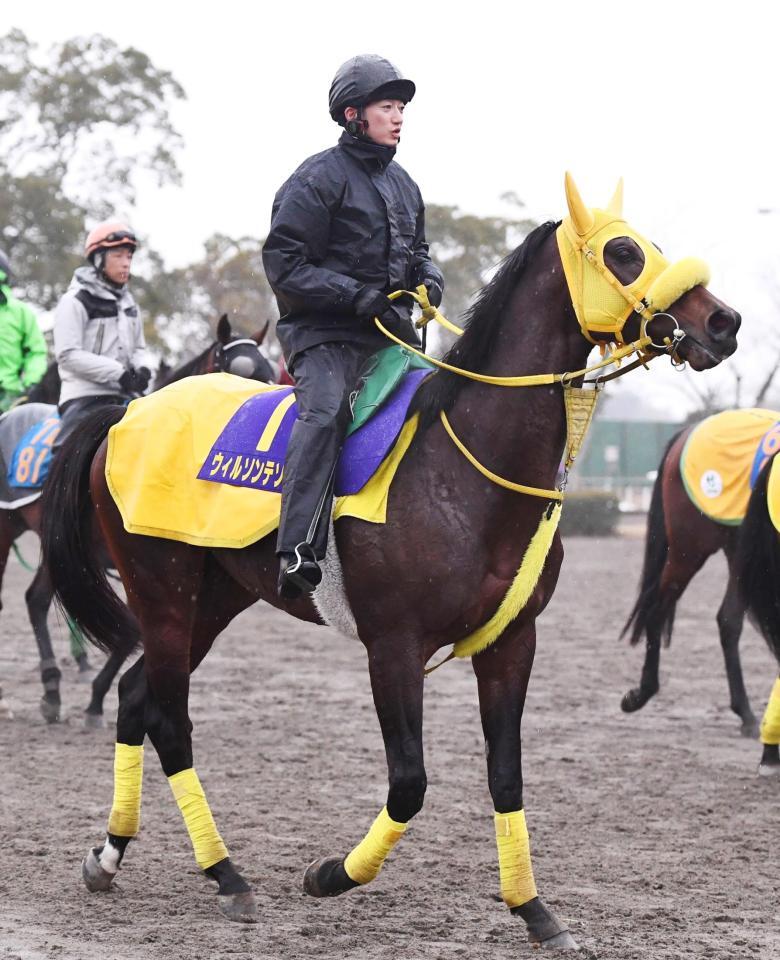 ウィルソンテソーロ