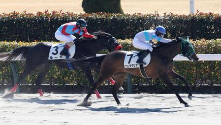 【新馬戦】ナムラダリア 最速上がりで豪快突き抜けV 原田和「芝でも可能性は秘めている」二刀流活躍に期待