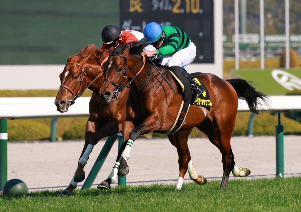 すみれＳを制したラージアンサンブル（右）＝撮影・石湯恒介