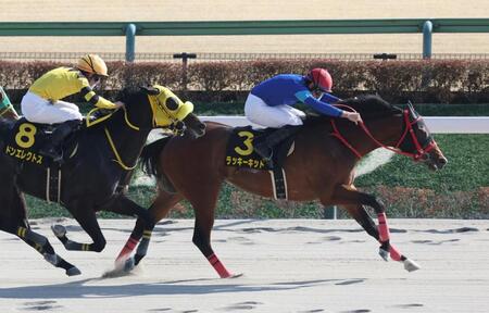 ドンエレクトスの猛追を振り切るラッキーキッド（右）