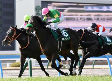 　豪快に差し切ったタガノデュード