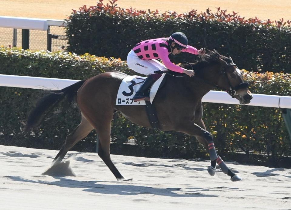 新馬戦を制したローズブーケ（撮影・園田高夫）