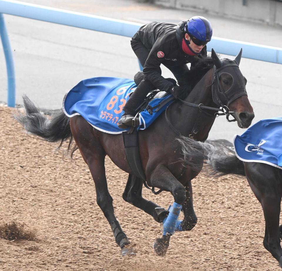 　中山金杯で重賞初Ｖを飾り、勢いに乗るカラマティアノス