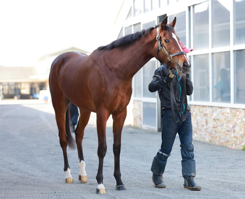 　３連勝での桜切符を狙うソルパッサーレ