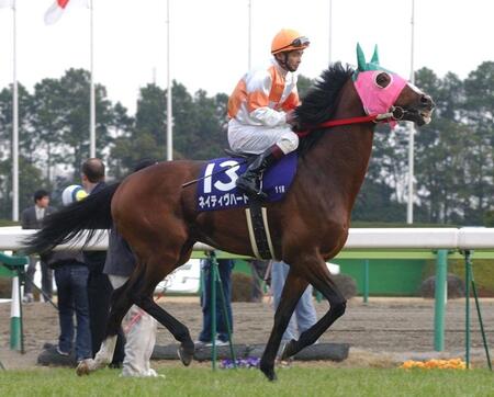 ネイティブハート