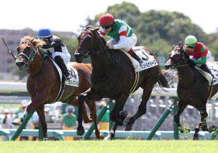 パントルナイーフ