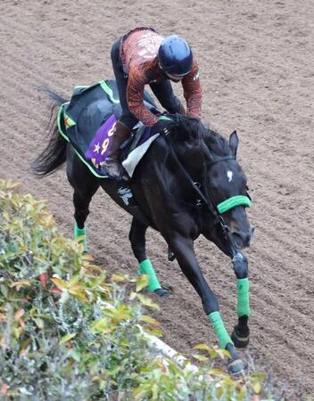 　好調をキープし、重賞連勝に挑むルガル
