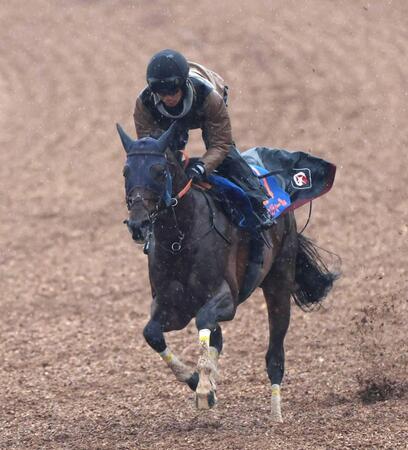 【中山記念】レーベンスティール　迫力復活　田中博師やや慎重も「先週から着実に良くはなっている」