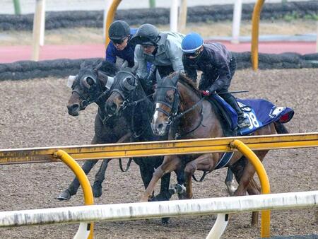 　３頭併せで万全の仕上がりをアピールしたアランカール（中）＝撮影・石湯恒介