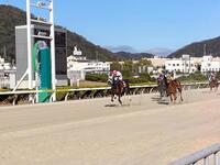 重賞連勝を果たしたゴッドフェンサー（左）＝撮影・中山伸治