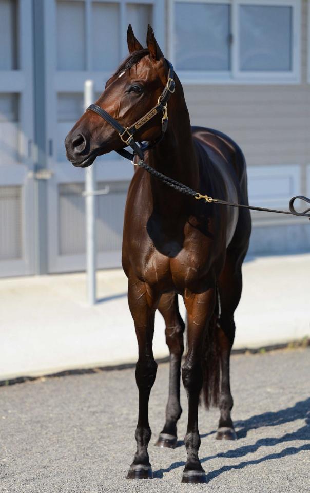 ドロップオブライト