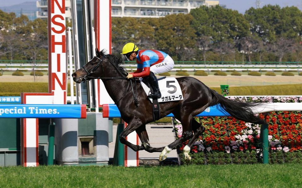 初勝利を挙げたサガルマータ＝２月２１日