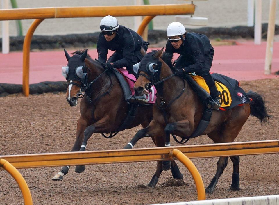 栗東ＣＷで追い切るソルパッサーレ（左）＝栗東トレセン（撮影・石湯恒介）