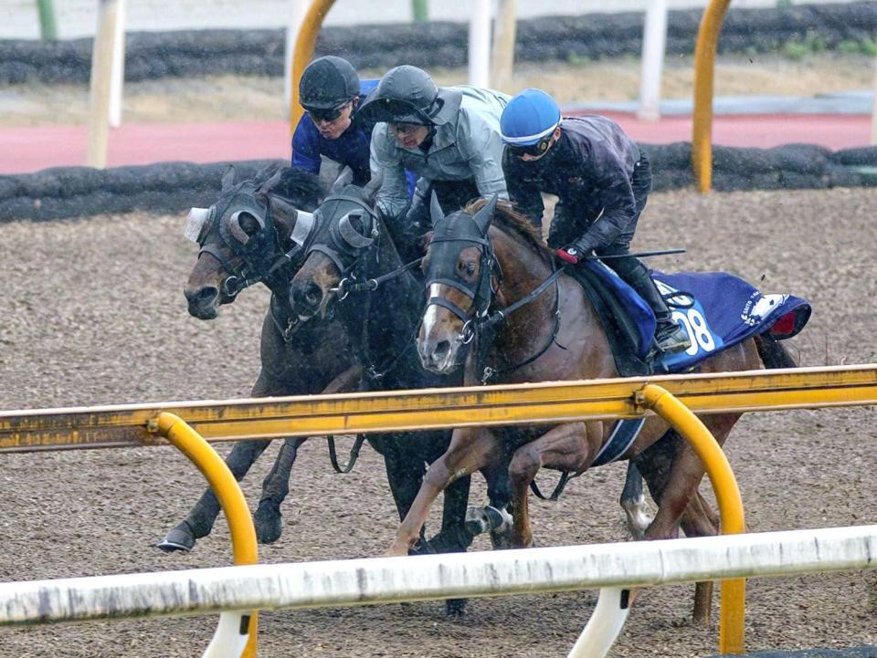 　３頭併せで万全の仕上がりをアピールしたアランカール（中）＝撮影・石湯恒介