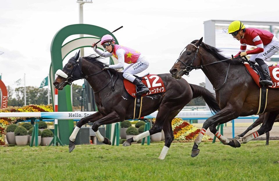 京都記念を制したジューンテイク＝２月１５日