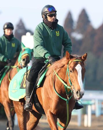 イッテラッシャイ