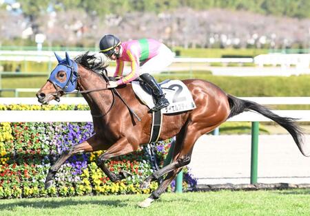 テイエムスティール