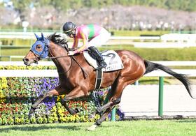 テイエムスティール