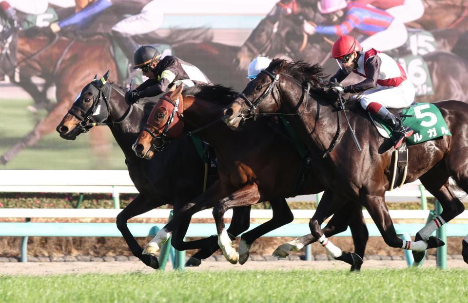 内から差し切り、オーシャンＳを勝利したベアポルックス（左）