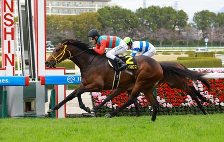 マーガレットＳを制したタマモイカロス（撮影・石湯恒介）