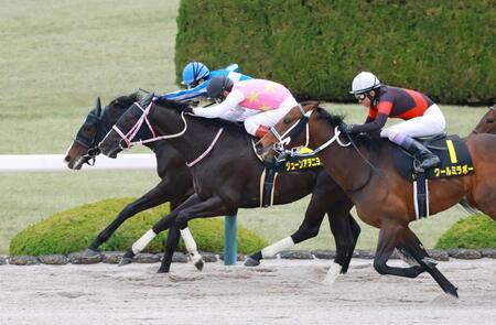 １年１０カ月ぶりの白星をつかんだジューンアヲニヨシ（左から２頭目）＝撮影・石湯恒介