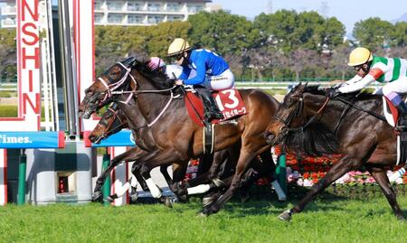 チューリップ賞を制したタイセイボーグ（撮影・石湯恒介）