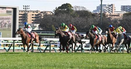 １１Ｒ中山記念を制したレーベンスティール（左）＝撮影・持木克友