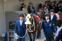 パドックでサキドリトッケンに付き添う永野猛蔵（左）＝撮影・石湯恒介