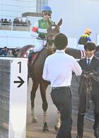 中山記念を制したレーベンスティールと戸崎（撮影・持木克友）