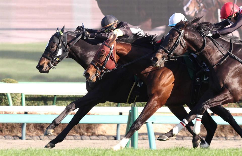 　内から差し切ったベアポルックス（左）