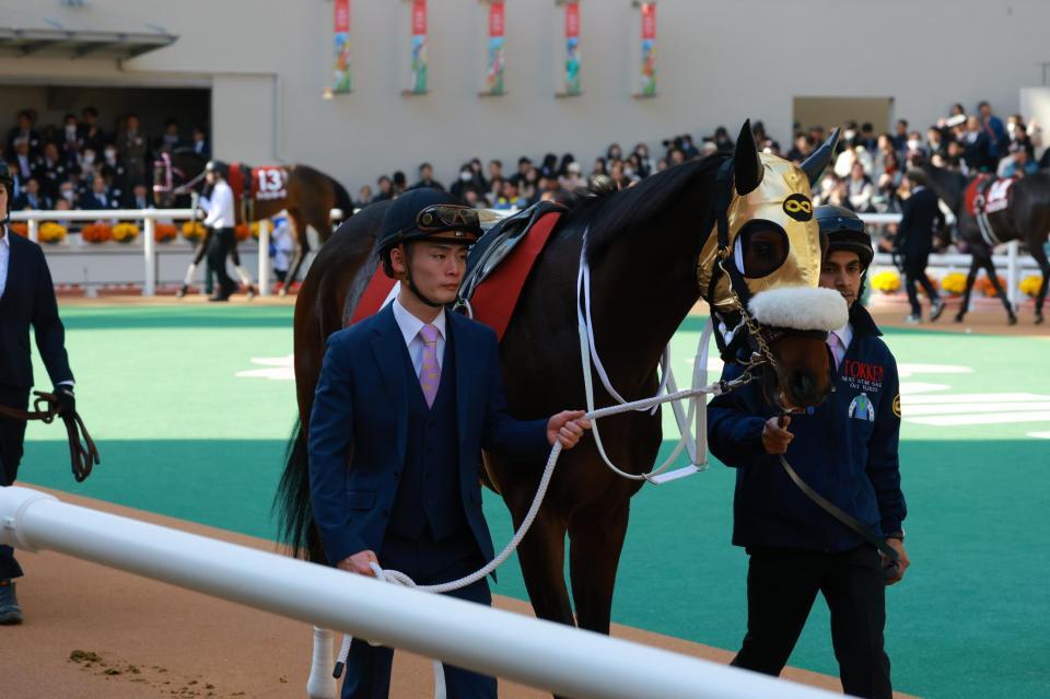 パドックでサキドリトッケンに付き添う永野猛蔵＝阪神競馬場（撮影・石湯恒介）Ｏｕｔｌｏｏｋ　ｆｏｒ　Ａｎｄｒｏｉｄ　［ｈｔｔｐｓ：／／ａｋａ．ｍｓ／ＡＡｂ９ｙｓｇ］を取得
