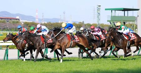 　外から差し切るタイセイボーグ（中央）＝撮影・石湯恒介