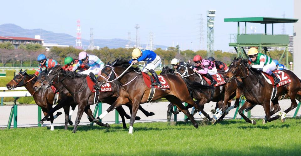 　外から差し切るタイセイボーグ（中央）＝撮影・石湯恒介