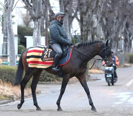 　今季初戦に臨むパントルナイーフ