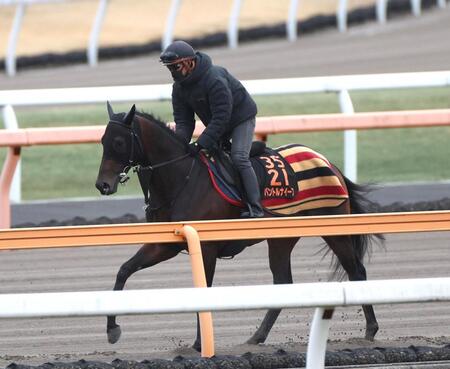 パントルナイーフ＝２６年２月