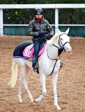 　桜切符獲得を目指すマルガ