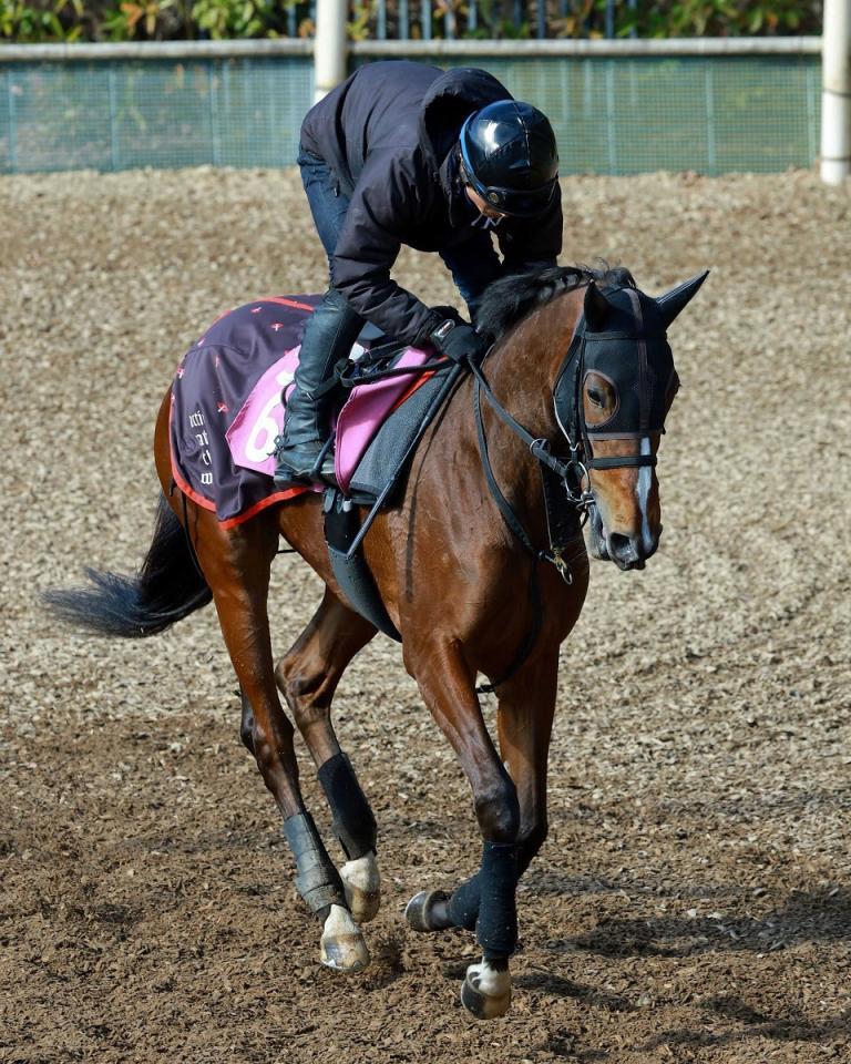 ソルパッサーレ