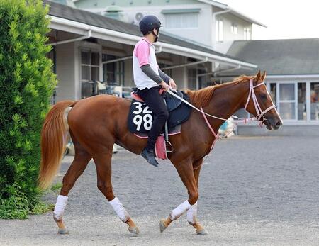 ショウナンバンライ