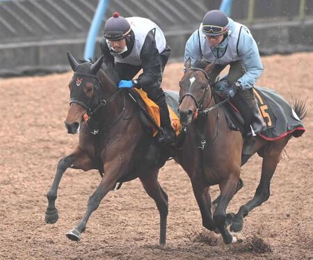 ４連勝中と勢いに乗っているニシノティアモ（左）＝撮影・園田高夫　