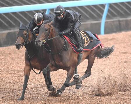 重賞連勝でＧ１の主役候補に躍り出たいパントルナイーフ（右）＝撮影・園田高夫　