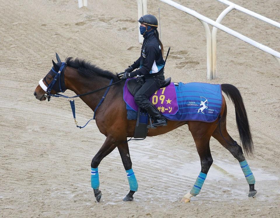 ブローザホーン