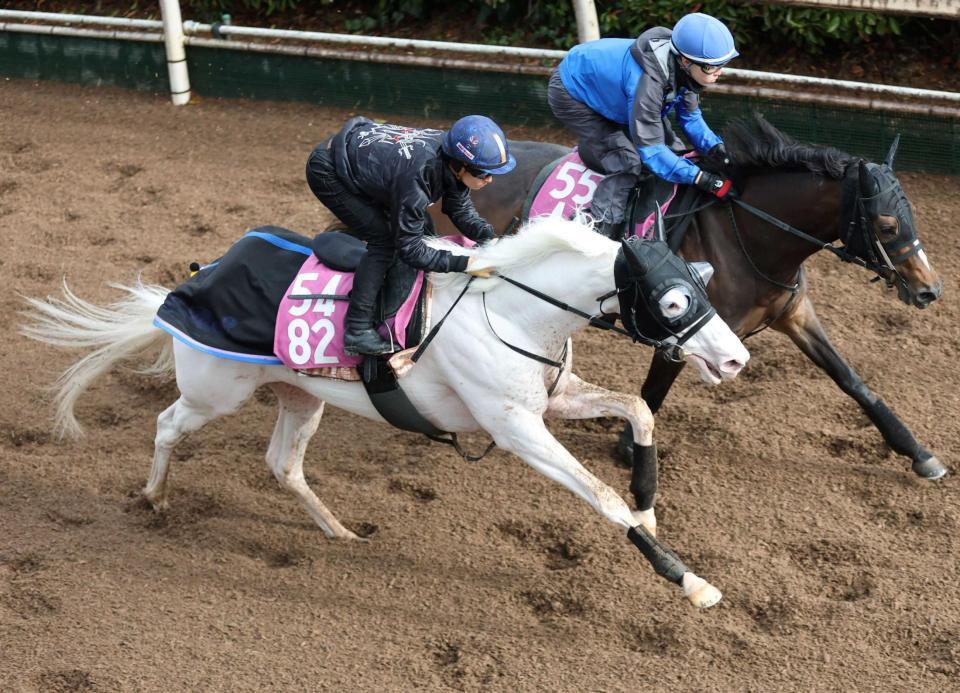 　川田との新コンビで重賞Ｖを狙うマルガ（手前）
