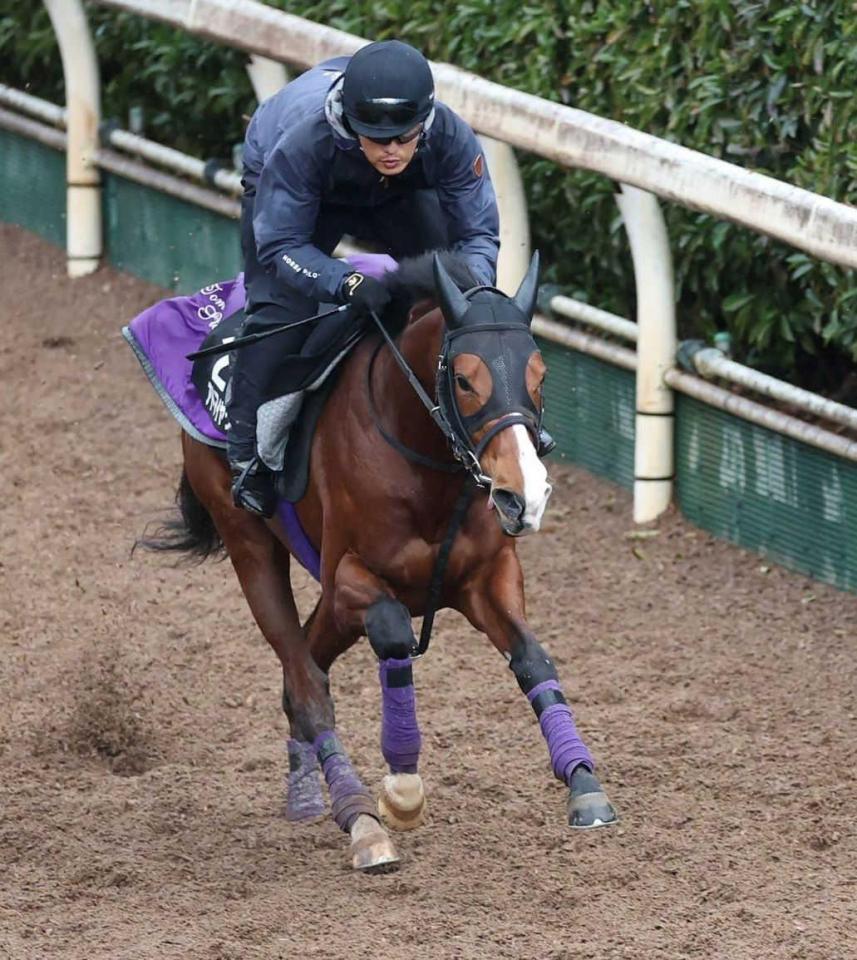 勝ってクラシックに弾みをつけたいアドマイヤクワッズ（撮影・中田匡峻）