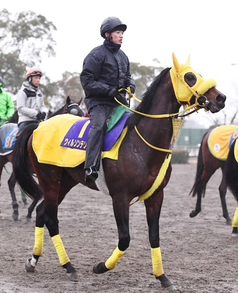 ウィルソンテソーロ