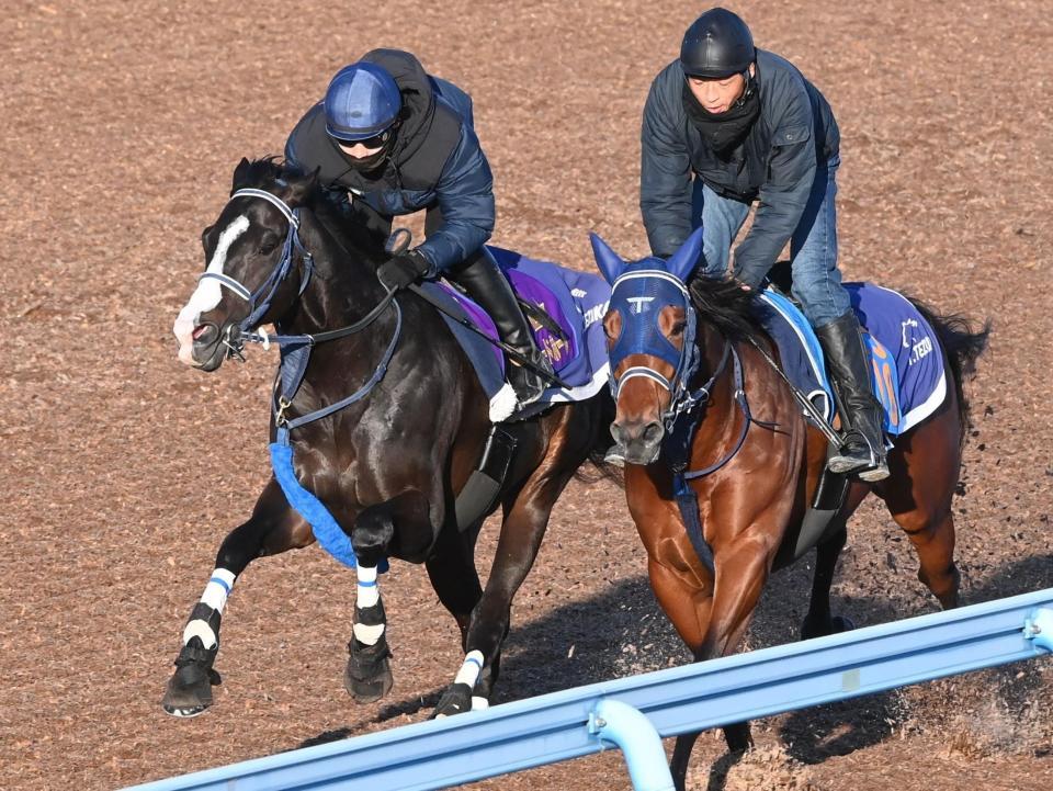 美浦Ｗ併せで追い切るマスカレードボール（左）＝撮影・園田高夫
