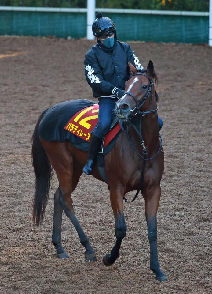 パラディレーヌ