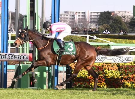中山牝馬ステークスを制したエセルフリーダ（撮影・園田高夫）