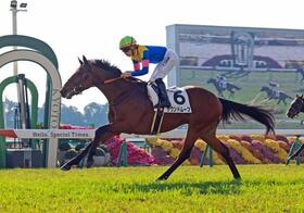 サウンドムーブ