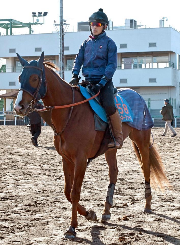 ミッキーファイト